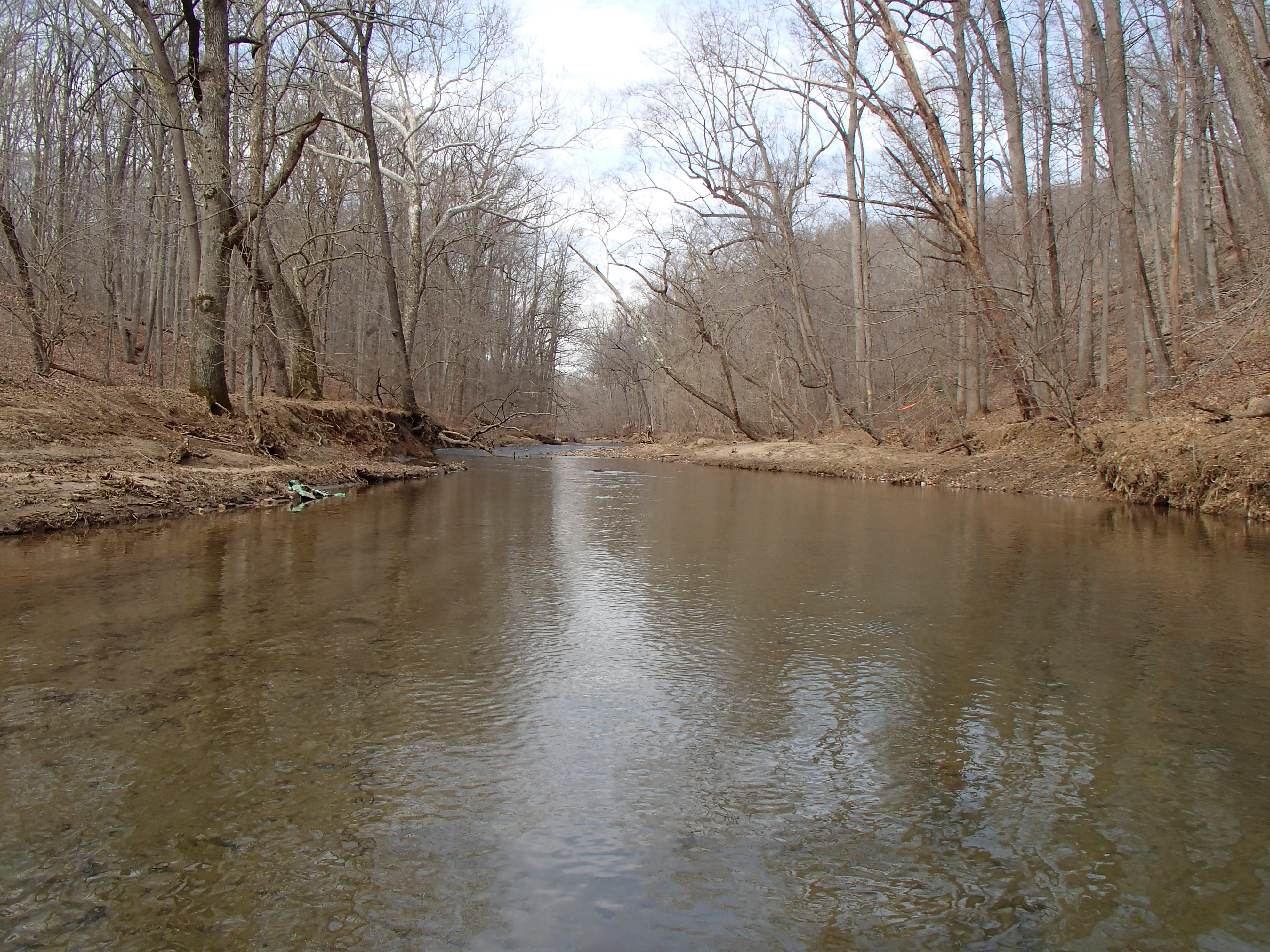 Field photo showing stream conditions at site ATKI-302-R-2016_midpoint upstream